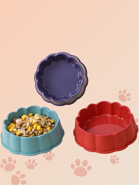 Cat Food Bowl Imported Petal Shaped -Large Size